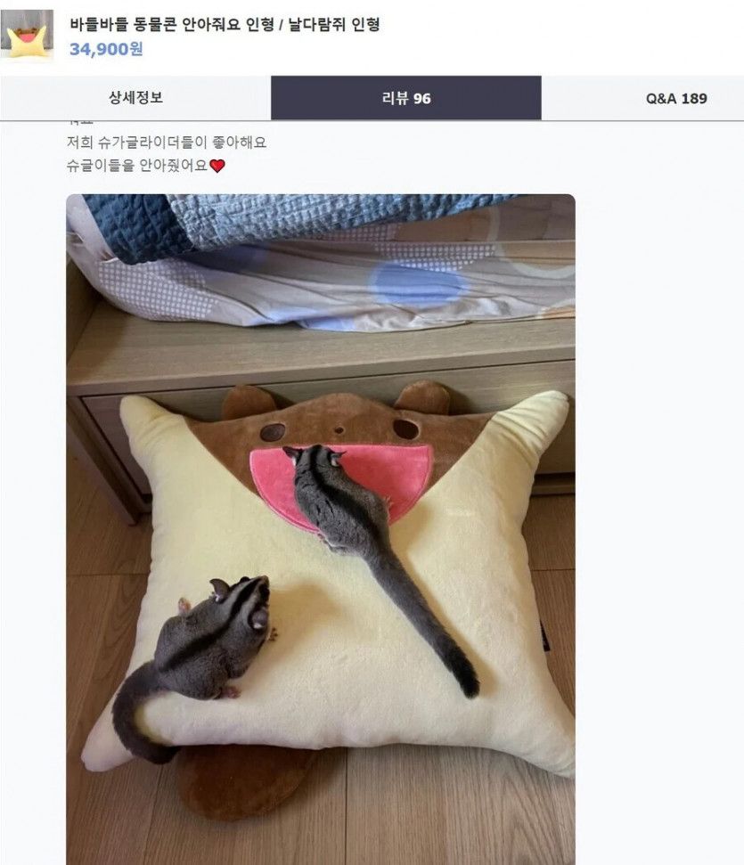 1737133201708.jpeg