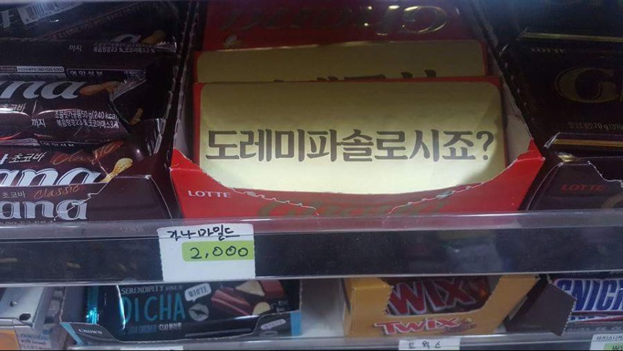 17371336867181.jpeg
