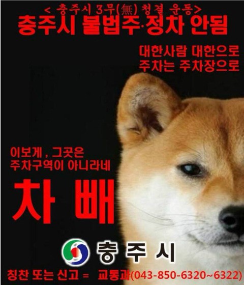 17371337026398.jpeg