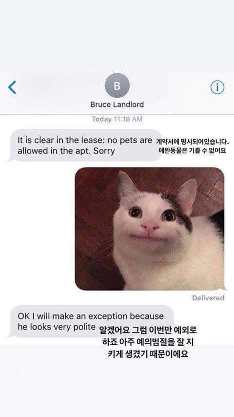 1737135204508.jpeg