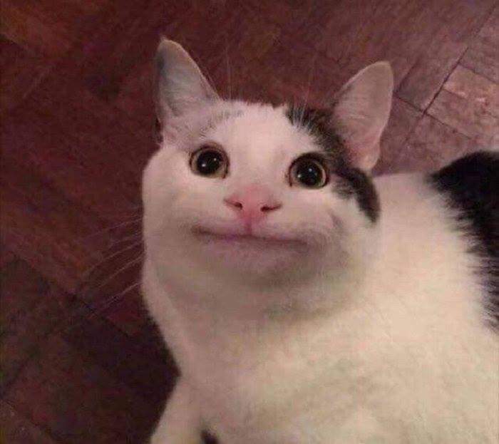 173713520455.jpeg