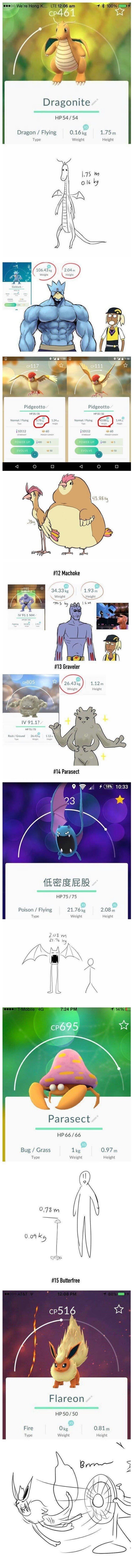 1737178688005.jpeg