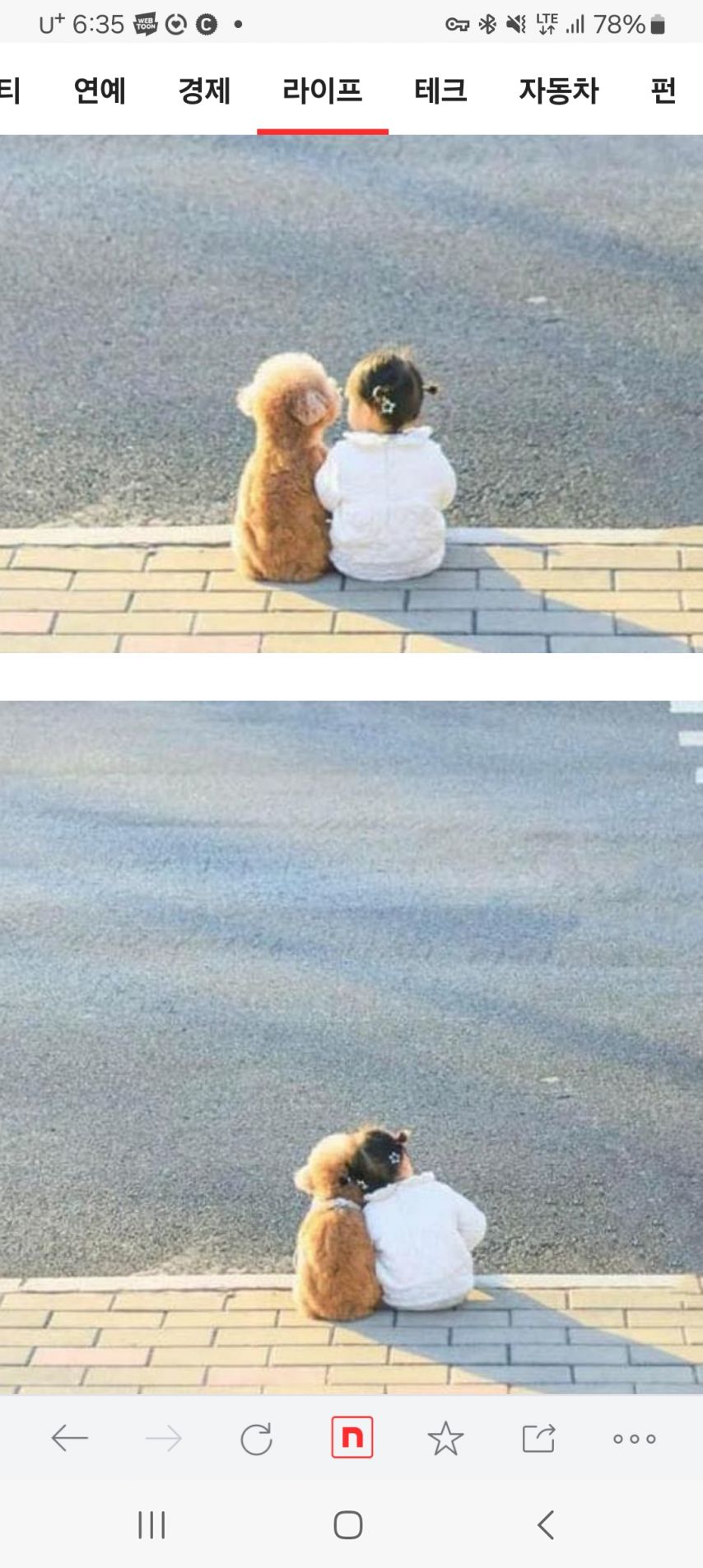 17371794294475.jpeg