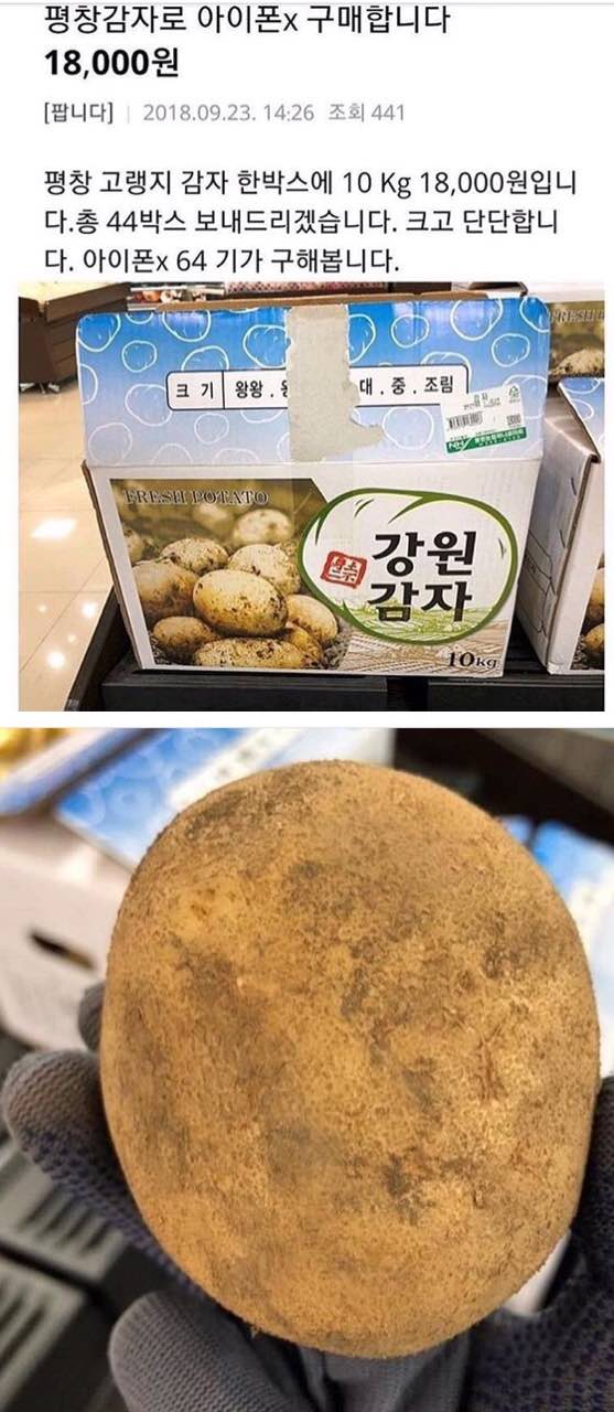 17371794951436.jpeg