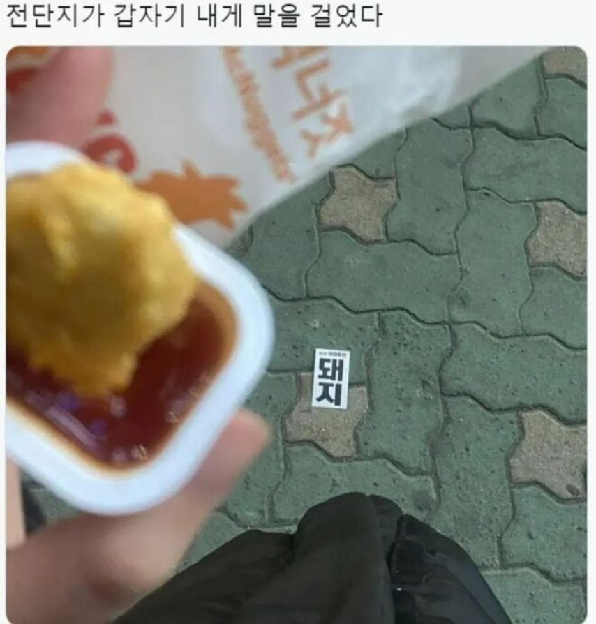 17371795014803.jpeg