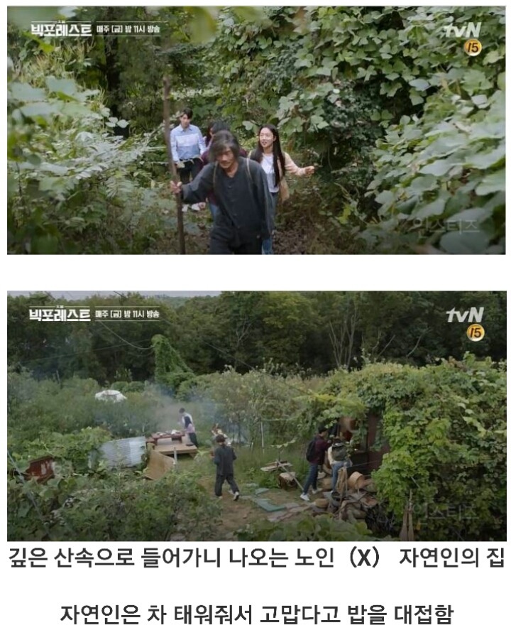 17371863270809.jpeg