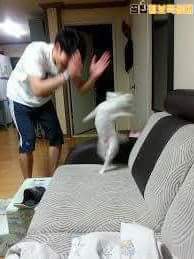 17371886059916.jpeg