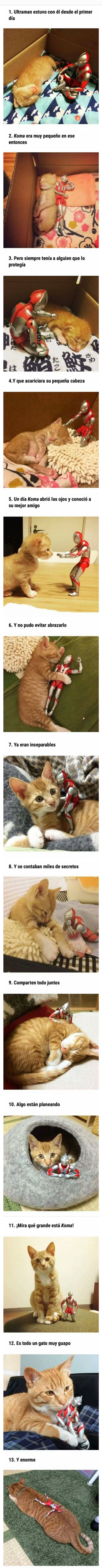 17371886564154.jpeg