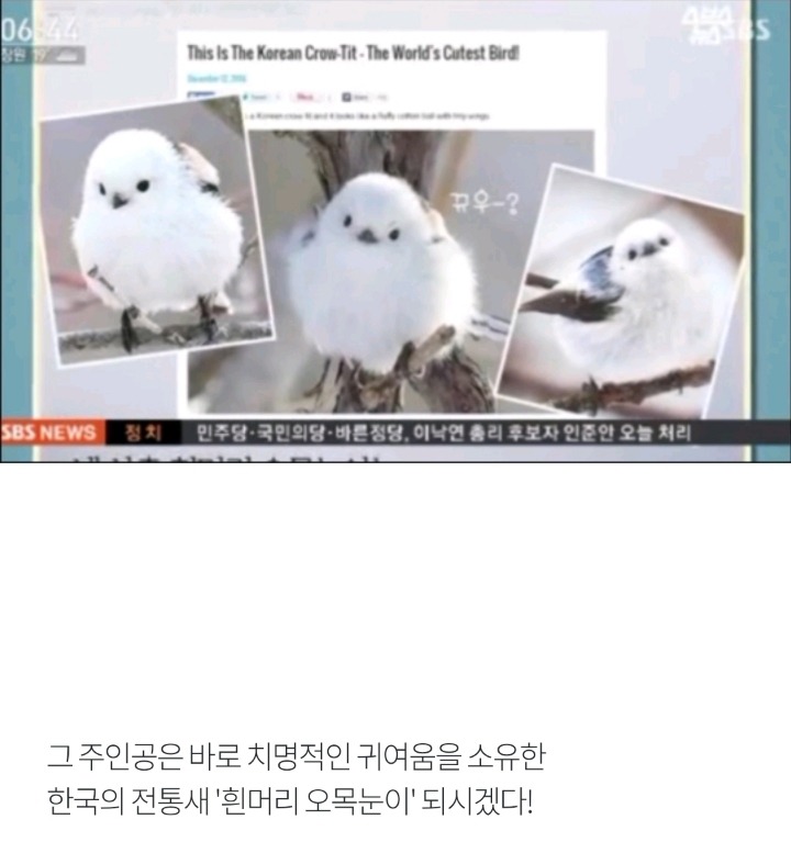 17371887705969.jpeg