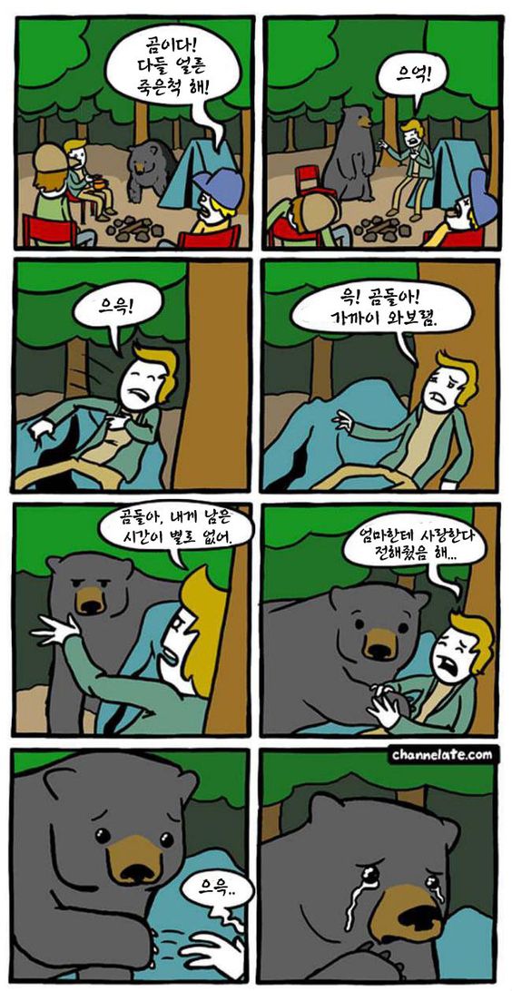 17371888396282.jpeg