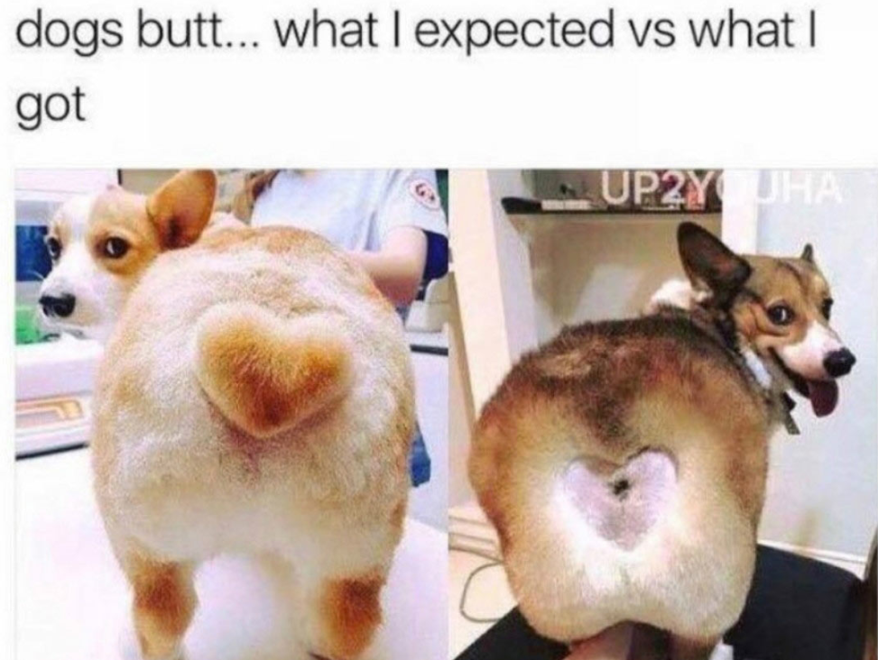 17371890222754.png
