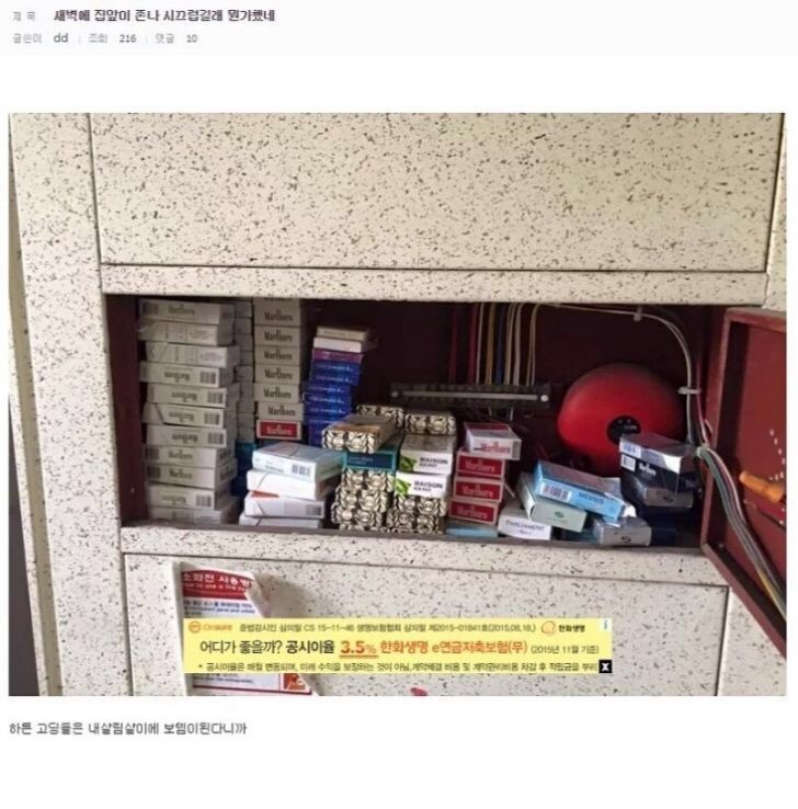 17372139322565.jpeg