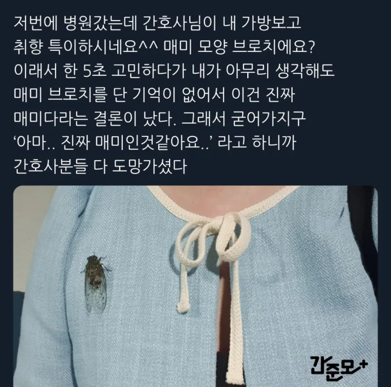 17372169249269.webp