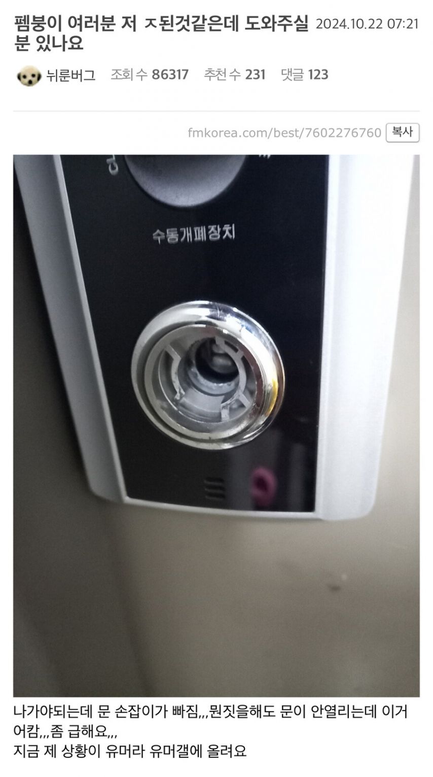 17372172491465.jpeg
