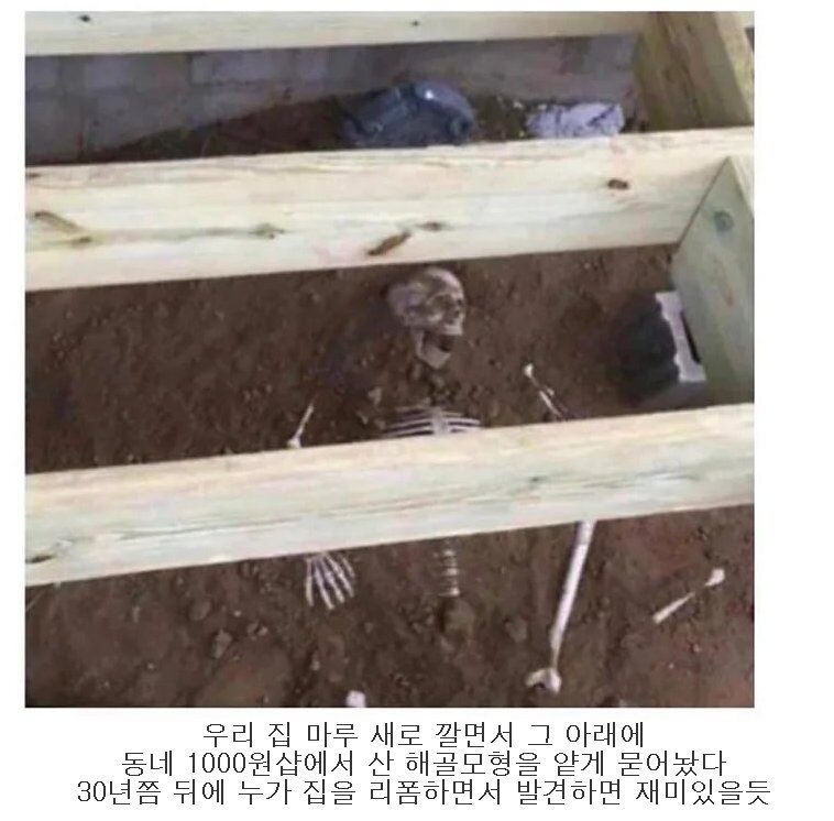 17372223300647.jpeg