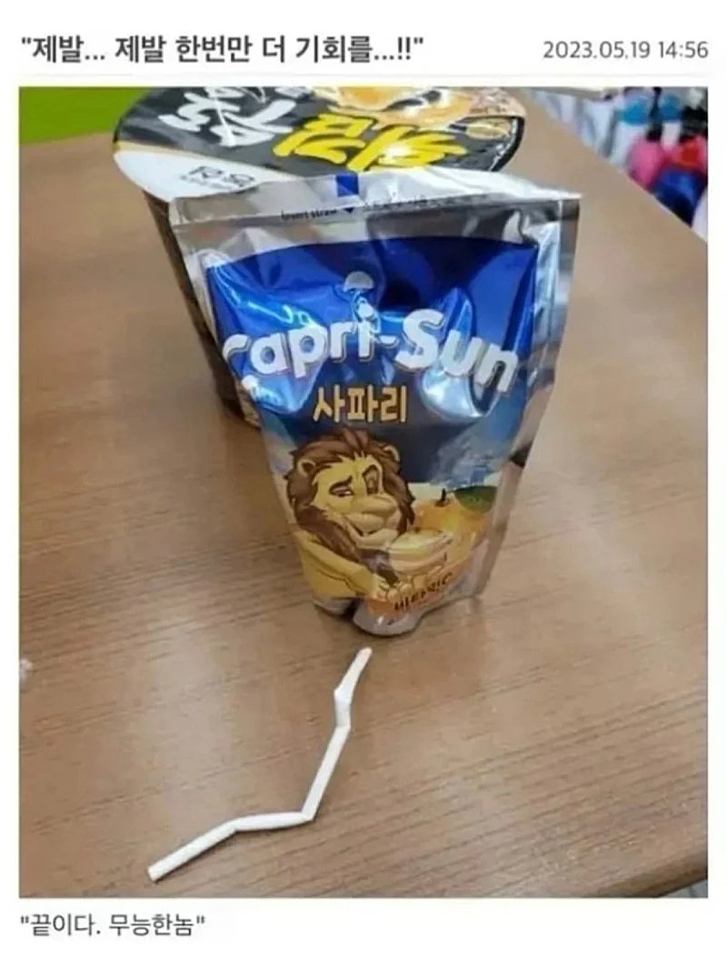 17372628319106.jpeg