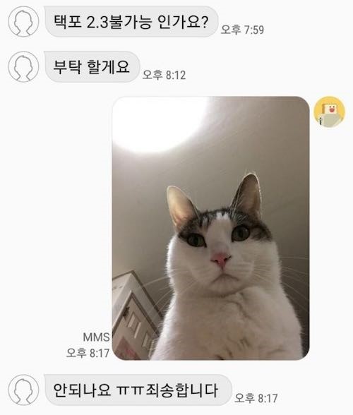 1737264396044.jpeg
