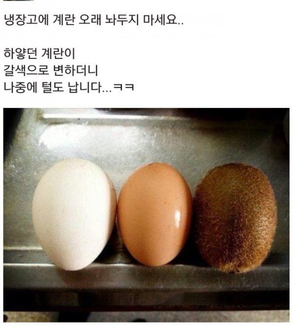 17372647415817.jpeg