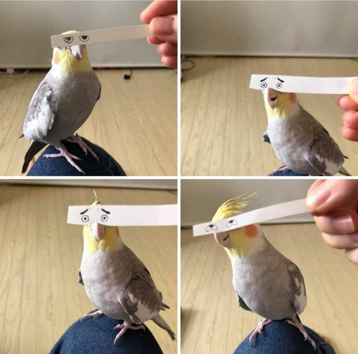 17372694057038.jpeg