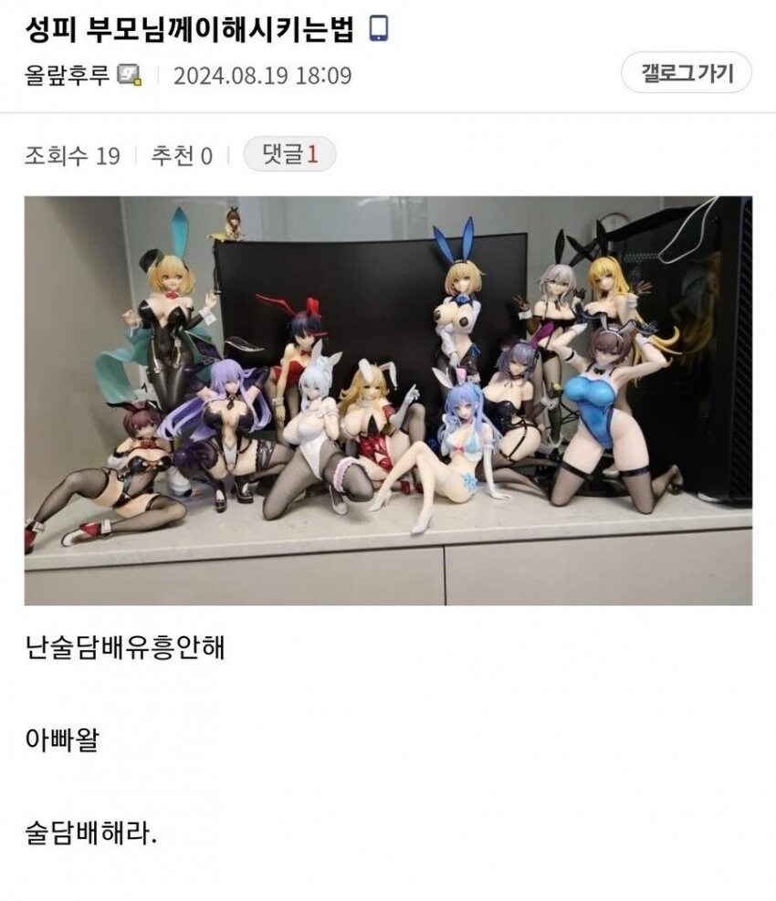 17372700866836.jpeg