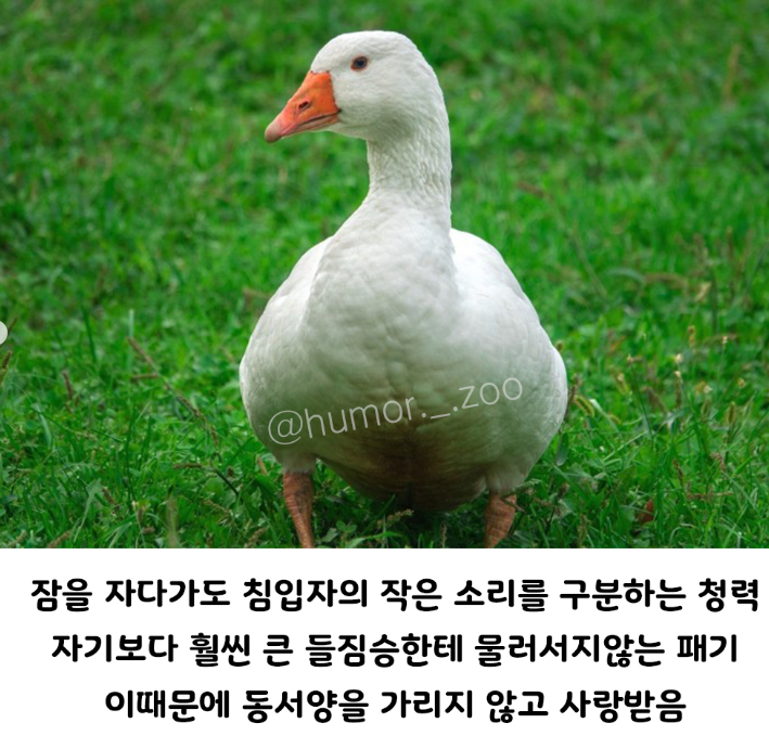 17372717584969.png