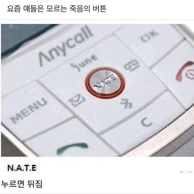 17372742638719.jpeg