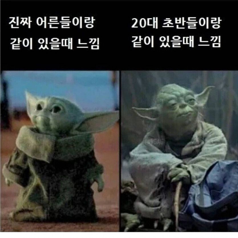 17372743252139.jpeg