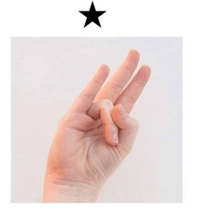 1737281169939.png