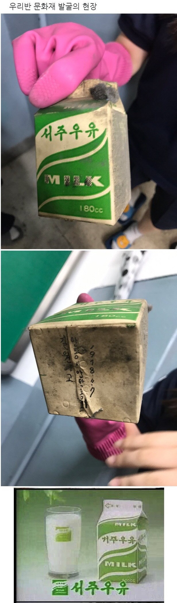 17372888479113.jpeg