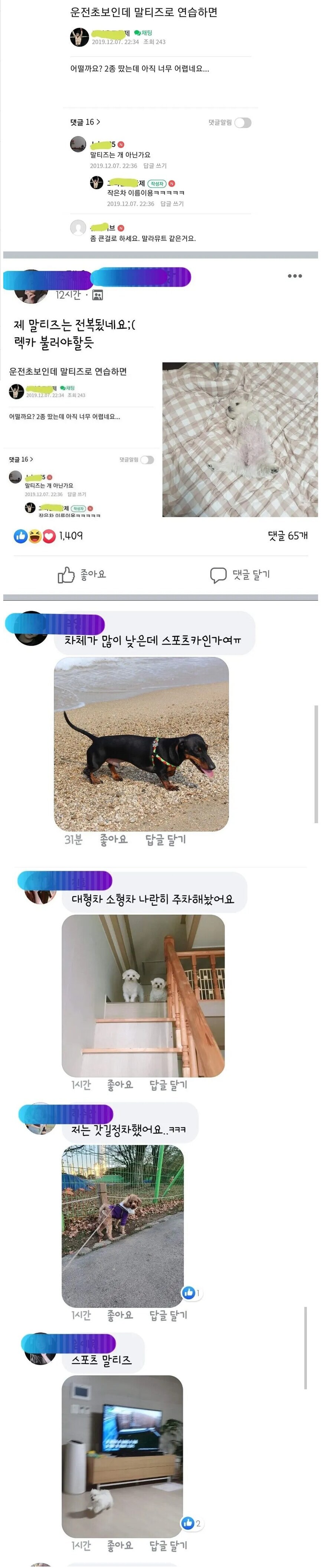 17372890494855.jpeg