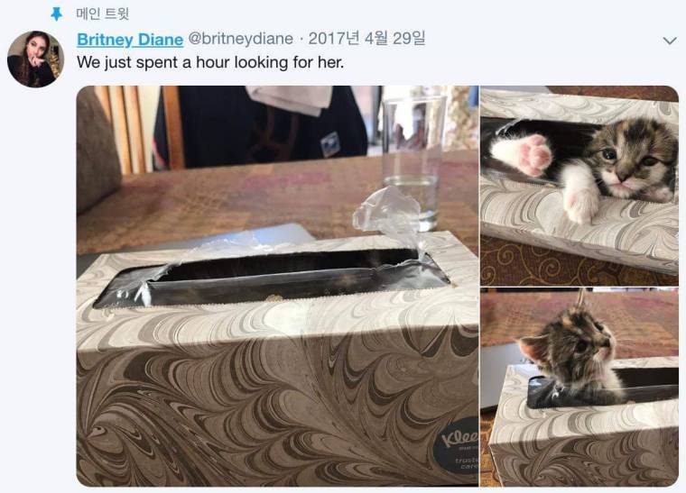 17372900617085.jpeg