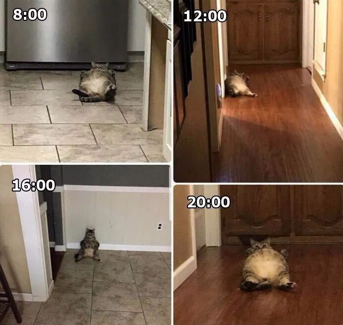 17372903233385.png
