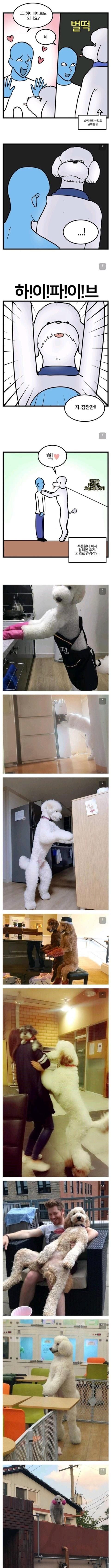 1737290656522.jpeg
