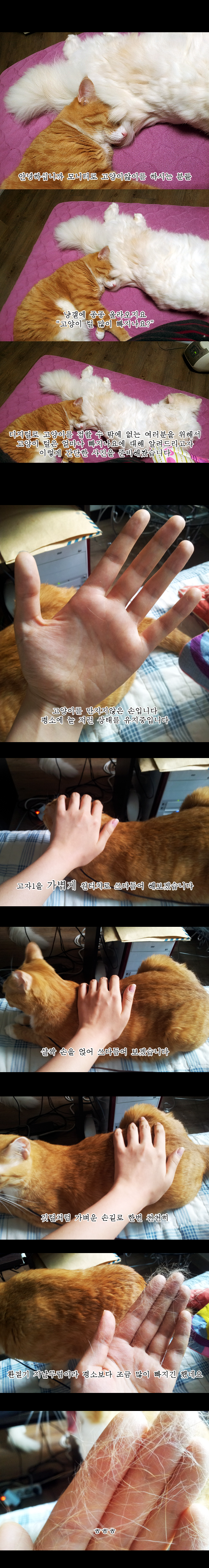 17372933939052.png