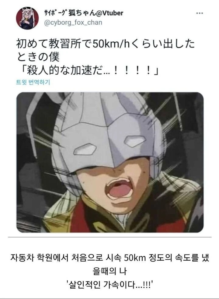 17372940158811.jpeg