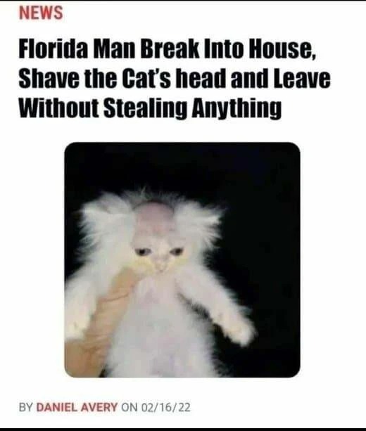 17372946982965.jpeg