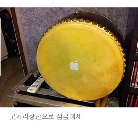 17372978829573.jpeg