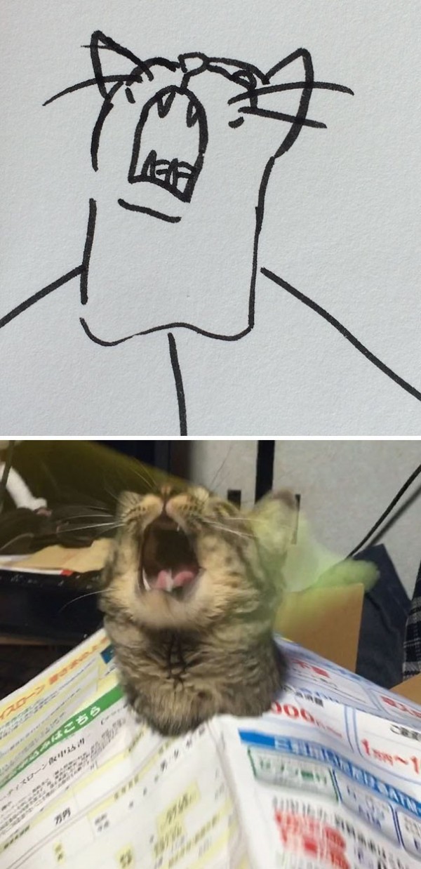 17372982365791.jpeg