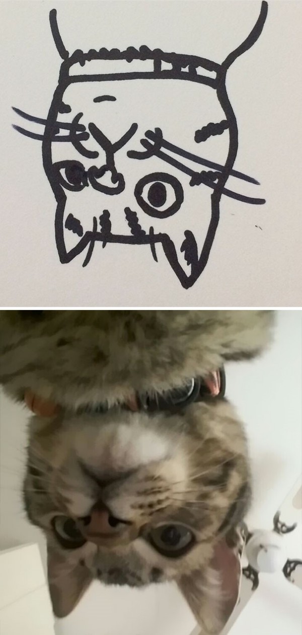 1737298236633.jpeg