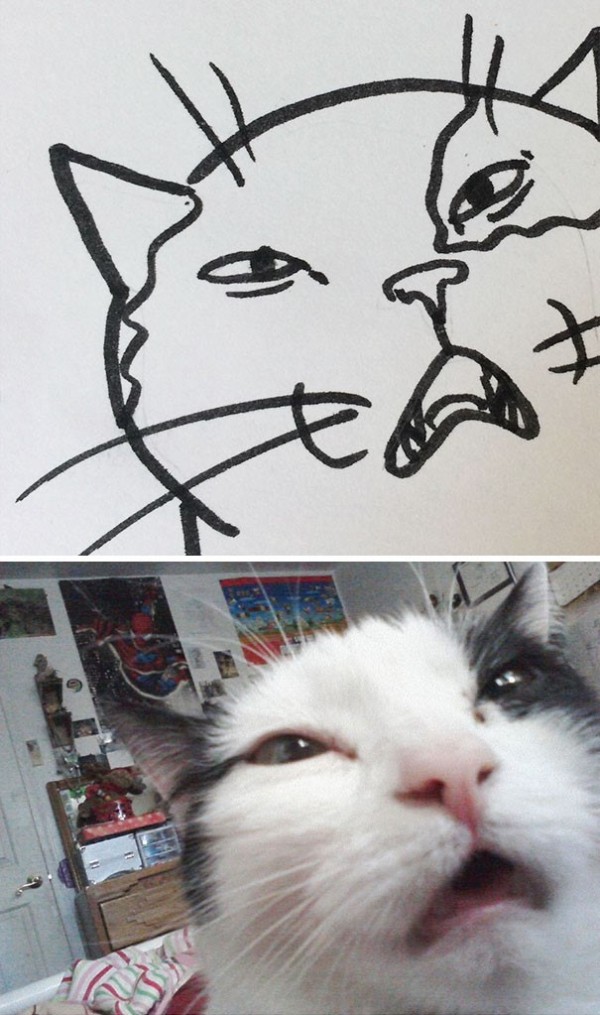17372982368023.jpeg