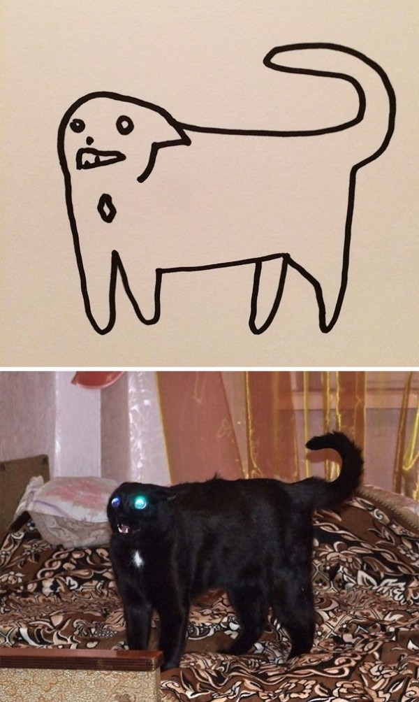 1737298236858.jpeg