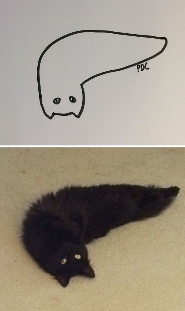 17372982369147.jpeg