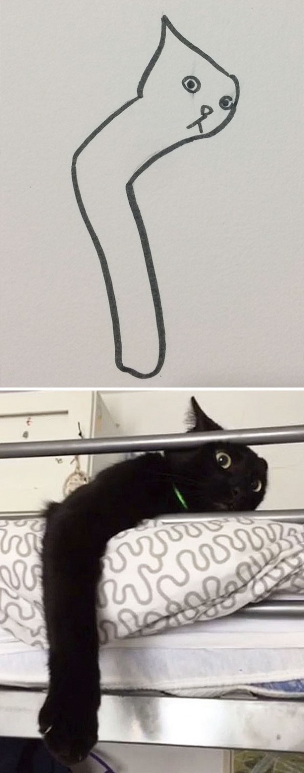 17372982370266.jpeg