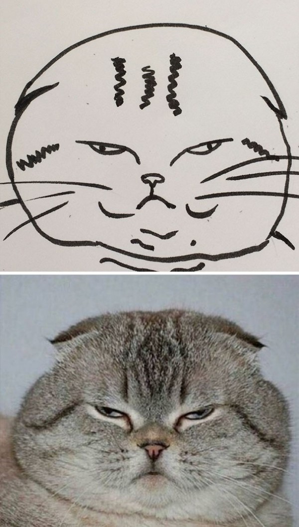 17372982370848.jpeg