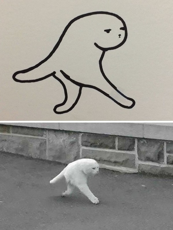 17372982371446.jpeg