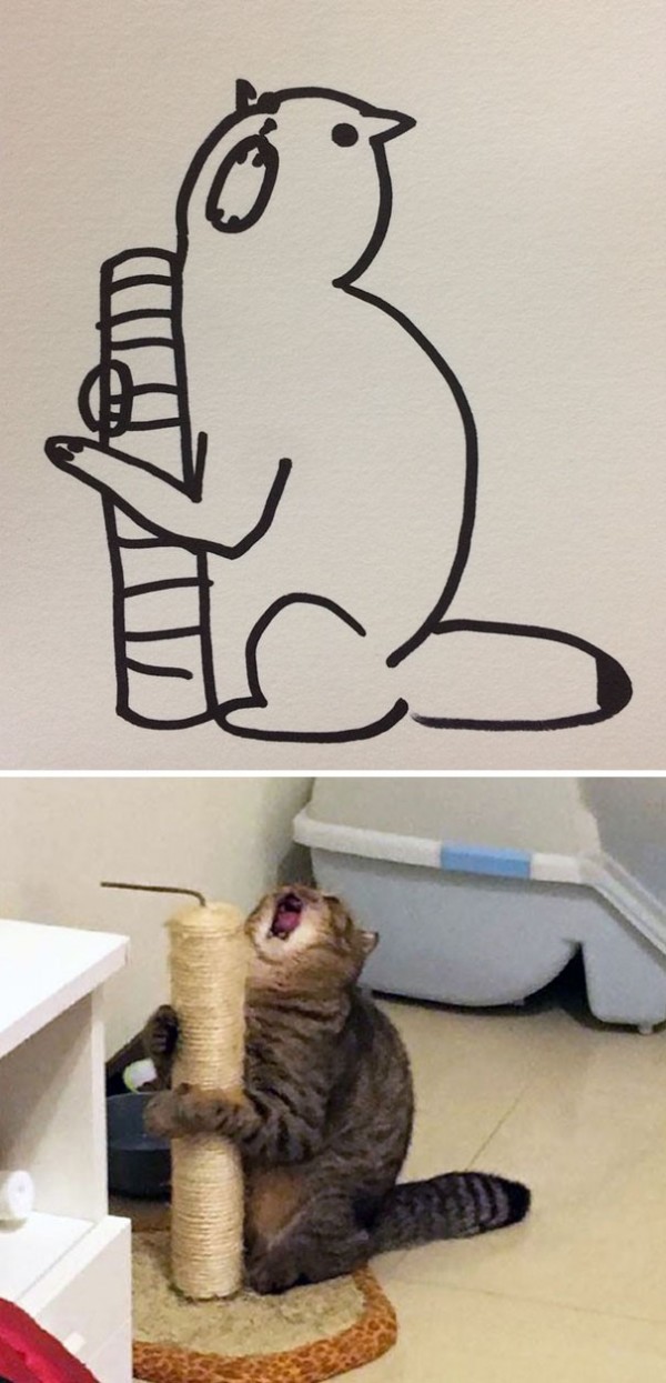 17372982372028.jpeg