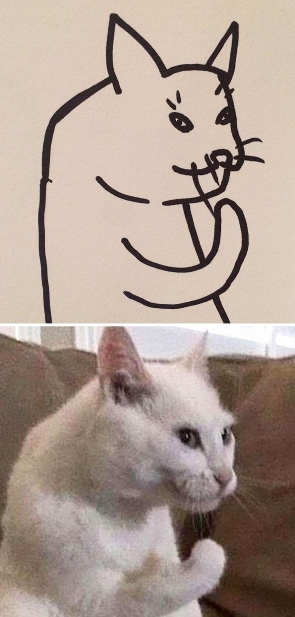 17372982372639.jpeg