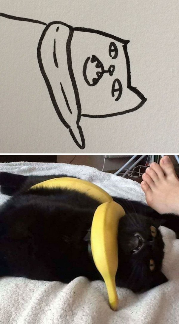 17372982373702.jpeg