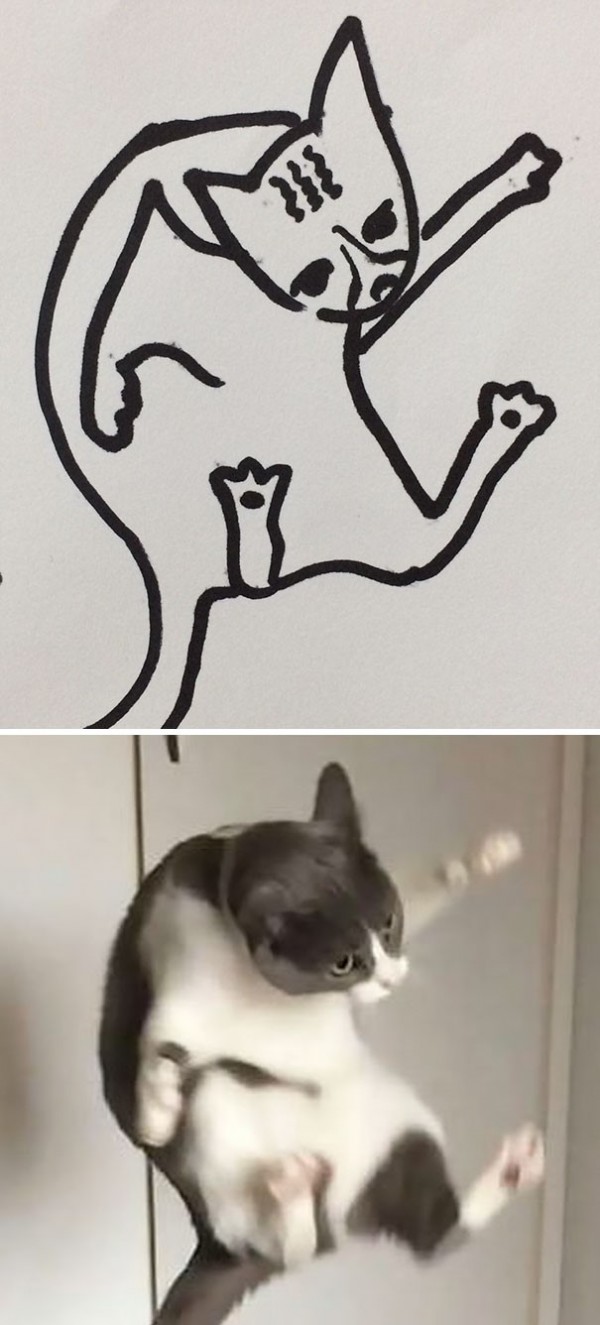 17372982374789.jpeg