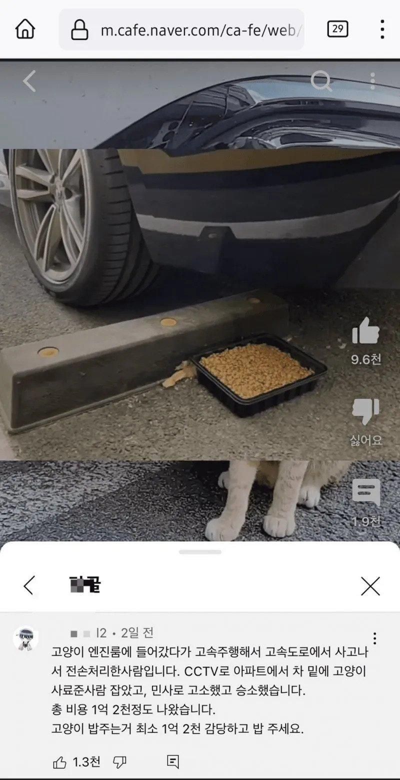 17372988665346.jpeg